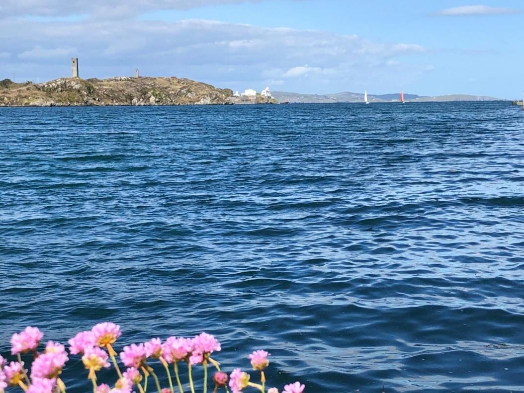 Seafront House With Own Private Pier In Gunpoint, Schull, West Cork Villa Seafort Exterior photo